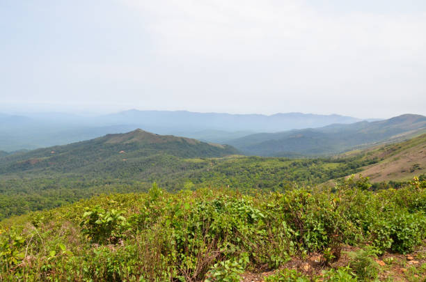 istock Beautiful and serene view of Mullayanagiri range of mountains 644067410