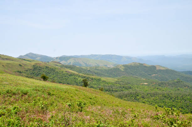 istock Beautiful and serene view of Mullayanagiri range of mountains 644067530