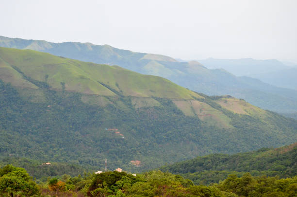 istock Beautiful and serene view of Mullayanagiri range of mountains 644069970