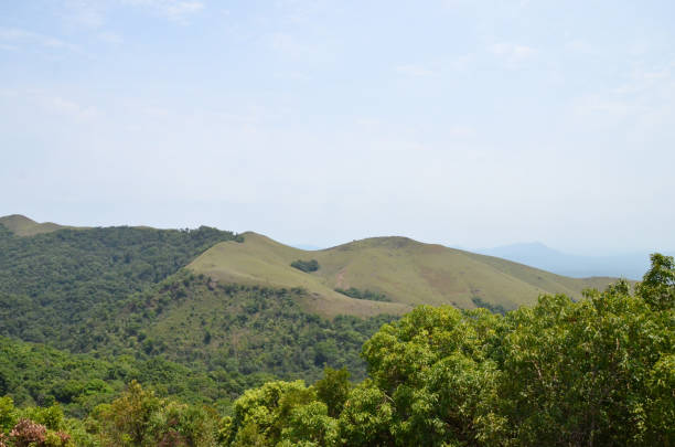 istock Beautiful and serene view of Mullayanagiri range of mountains 644070310