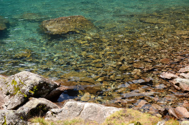 istock Rocky bottom of the lake 644073470