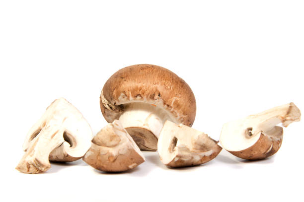 istock Set Champignon mushroom isolated on white background. 644074276
