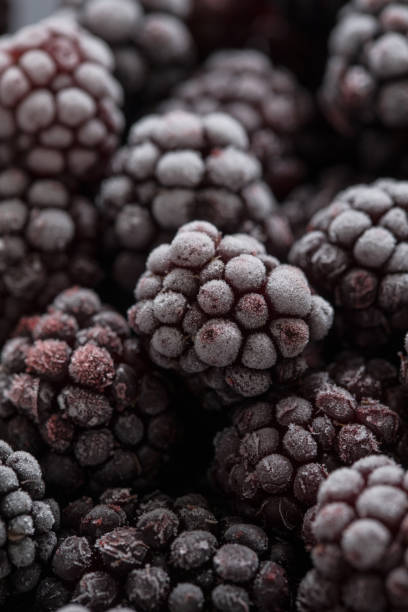 istock Close-up to frozen berry fruit 644086530