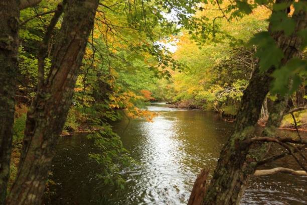 istock River in Bangor Digby Co, Nova Scotia, Canada 644086644