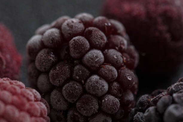istock Close-up to frozen berry fruit 644086704