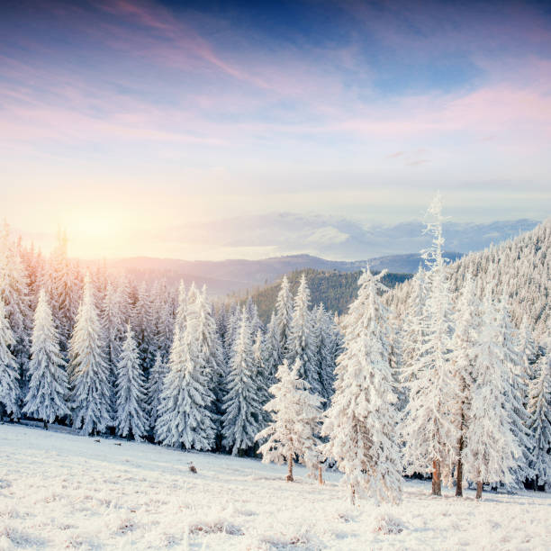 istock Mysterious winter landscape majestic mountains 644089072