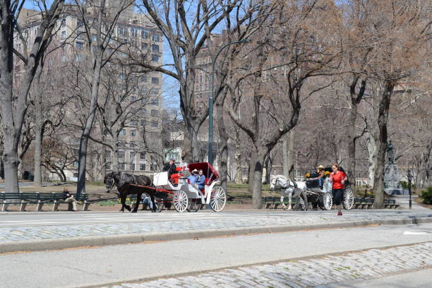 new york, сша - 26 марта: неизвестные люди в центральном парке. центральный парк является одним из крупнейших в мире сша и самым известным в мире 26 - motorcycle snow winter new york city стоковые фото и изображения