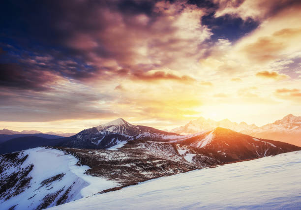 istock magical winter snow covered tree. Sunset in the Carpathians. Ukr 644089384