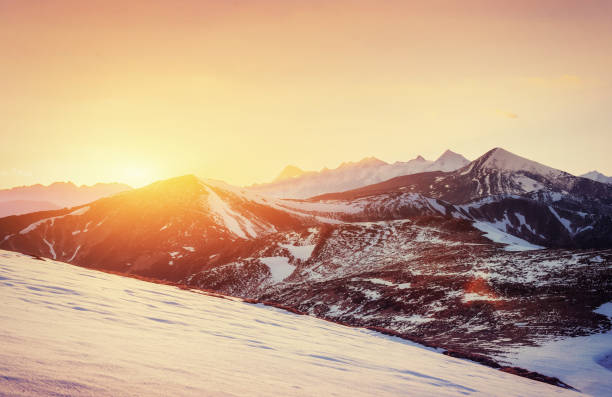 istock magical winter snow covered tree. Sunset in the Carpathians. Ukr 644089802