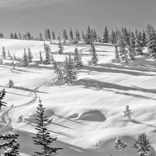 istock Lone ski track on Cardiac ridge Wyoming. 644151718