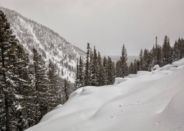 istock Rolling snow balls in winter snowfield 644151828