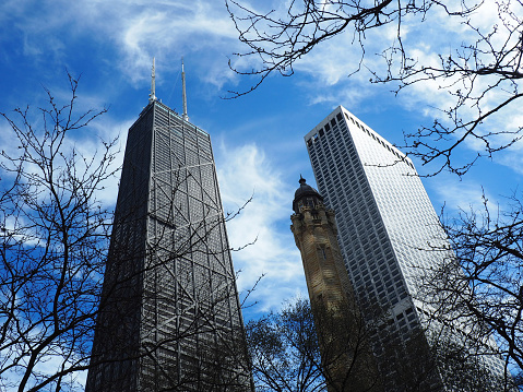 Looking up at the Hancock and Water Tower Place buildings with dreamy clouds in blue sky and tree branches in foreground.