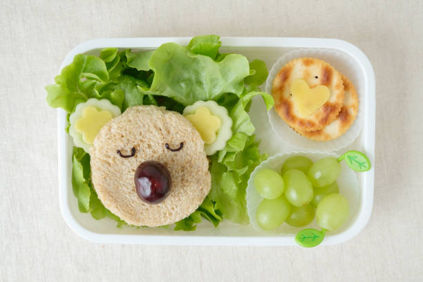 koala bär brotdose, lustige essen kunst für kinder - lunch box lunch sandwich green stock-fotos und bilder