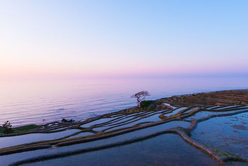 Filmed in Shiroyone Senmaida,The One Thousand Rice Fields in Noto,Ishikawa,Japan.