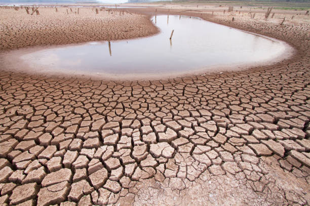 terre de sécheresse pour le changement climatique - water crisis photos et images de collection