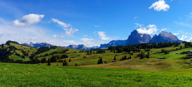 istock Panorama image of the Seiser Alm or Alpe di Siusi, 644180926
