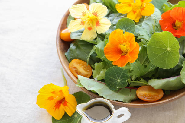 Fresh green salad with edible flowers nasturtium in wooden serving dish Fresh green salad with edible flowers nasturtium in wooden serving dish nasturtium stock pictures, royalty-free photos & images