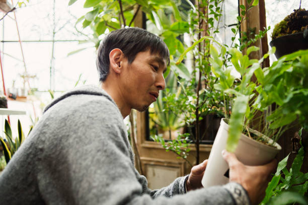 istock Male gardener working in green shop. 644190798