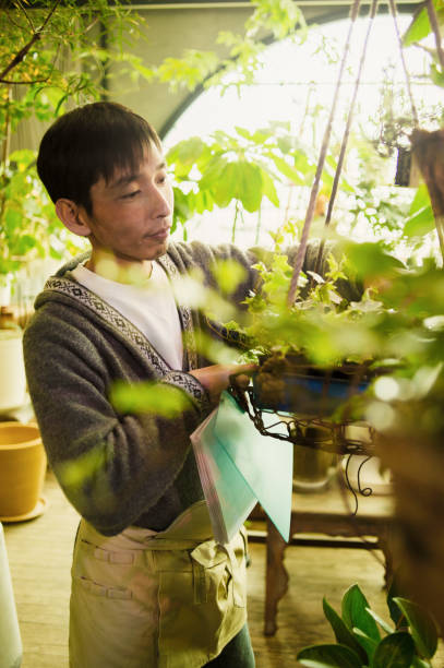 istock Male gardener working in green shop. 644190954