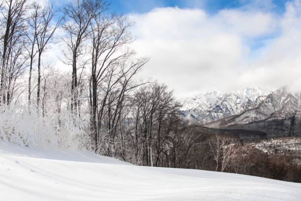 istock Landscape from Japan resort Togakushi 644209904