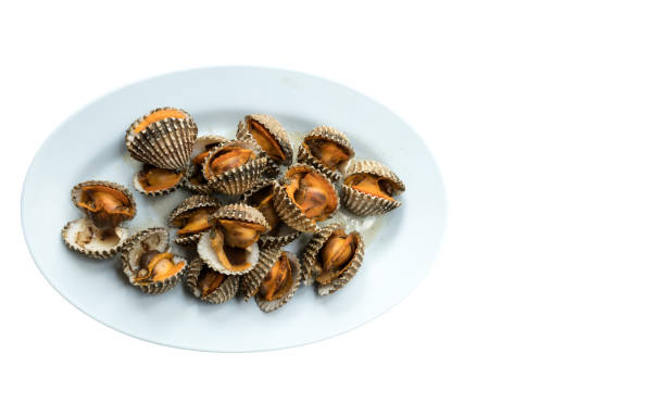 istock Poached scallop cockles 644213884