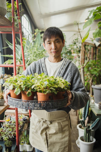 istock Male gardener working in green shop. 644217990