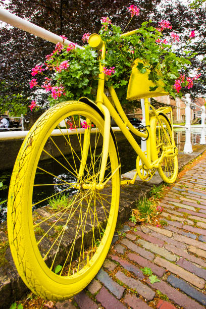 istock Yellow bicycle with geranei in Holland 644225484