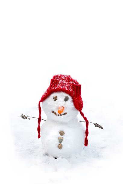 istock Small baby snowman 644234102