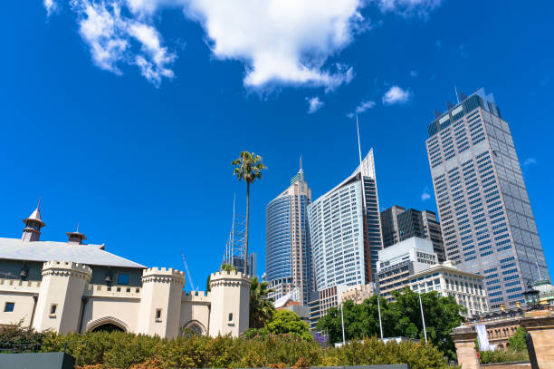 istock Sydney skyline, cityscape on sunny day 644234732