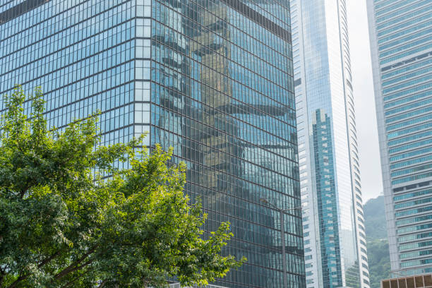 istock green leaves front of office building 644237772