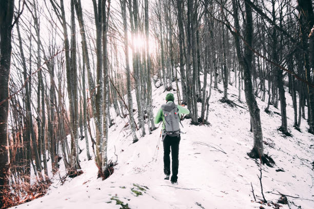 istock Hiker through a snowy woodland 644249634