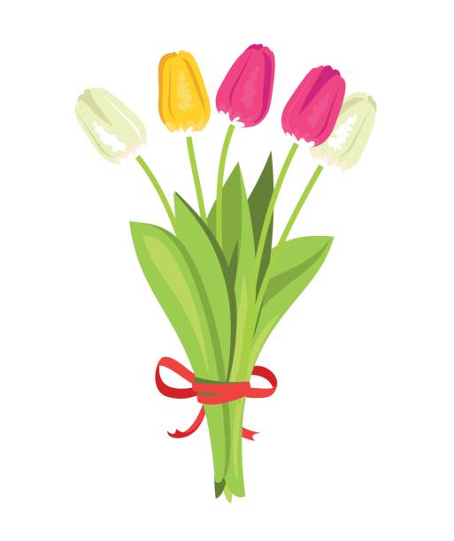 bukiet kolorowych tulipanów  - bouquet flower tulip cut flowers stock illustrations