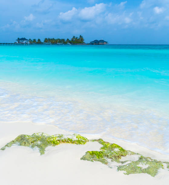 istock White coral sand beach, Maldives 644260196