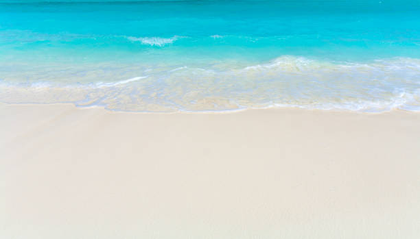 istock Summer background of Tropical Beach 644260234