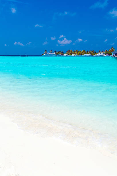 istock Seascape with rolling waves on a sandy beach and boats, Maldives 644260286