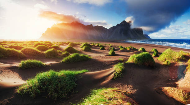 istock Magic sunset on a sandy beach. Beauty world. Turkey 644268704