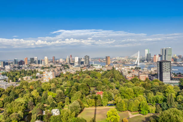 istock Aerial view of Rotterdam 644273050