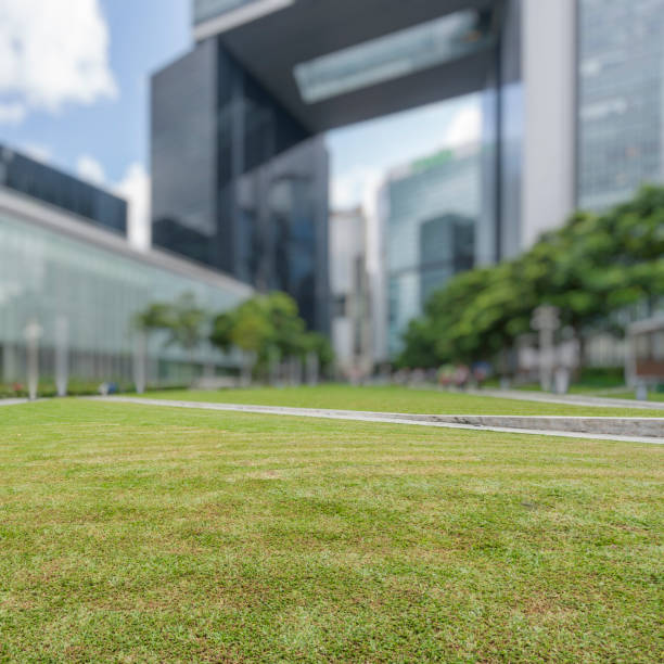istock grassland front of office building 644276324