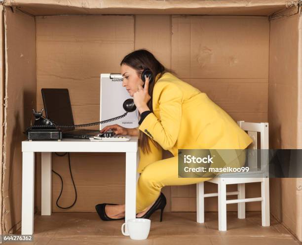 Business Woman Gives Advice Over The Telephone Stock Photo - Download Image Now - Office, Crowded, Desk
