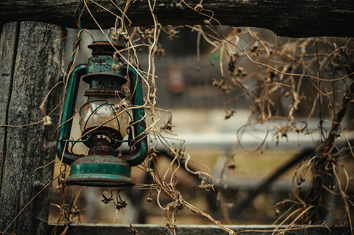 Details of an old green gas lamp hanged on wooden joist and brunches in blur.