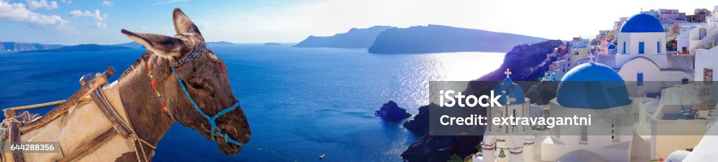 Santorini island with donkey in Oia village, Greece Greece Stock Photo