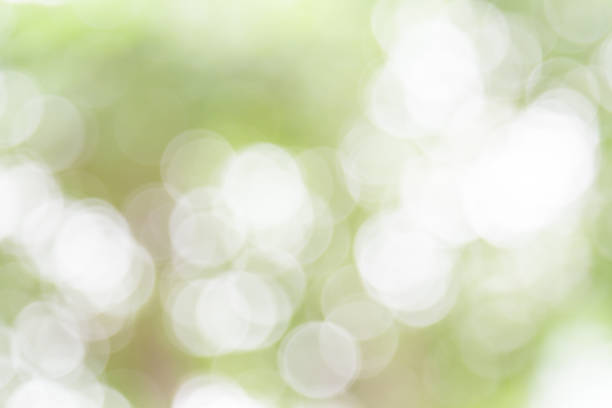 istock White and green nature bokeh 644300170