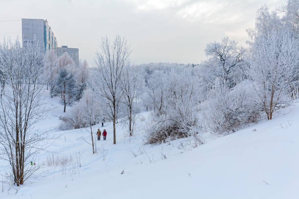 istock People walk in the snowy winter Park 644304136