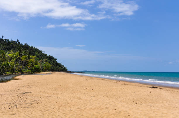 istock Mission Beach in Australia 644318008