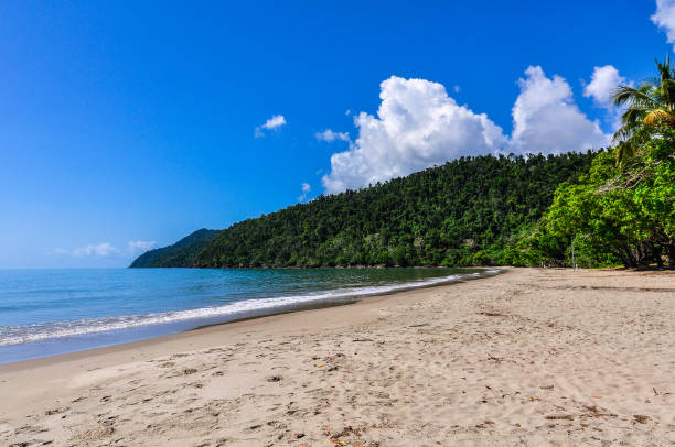 Beach in Etty Bay, Australia stock photo