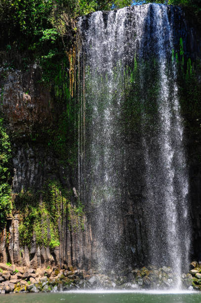 istock Millaa Millaa Falls in Atherton Tablelands in Australia 644320406