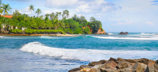 istock beautiful ocean, tropical palms on the shore and cloudy sky 644321124