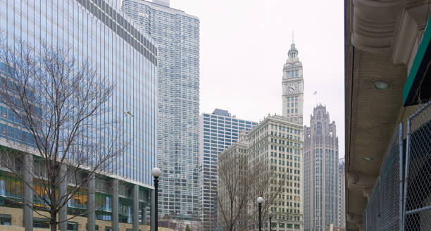 istock Skyscrapers in Chicago, Illinois, USA 644332578
