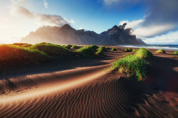 istock Magic sunset on a sandy beach. Beauty world. Turkey 644338892