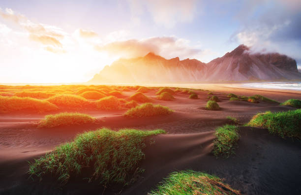 istock Magic sunset on a sandy beach. Beauty world. Turkey 644339354
